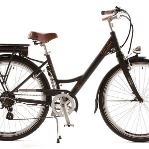 Littium Berlin Classic Elektrische Fiets 14AH - Zwart (8436553282877)